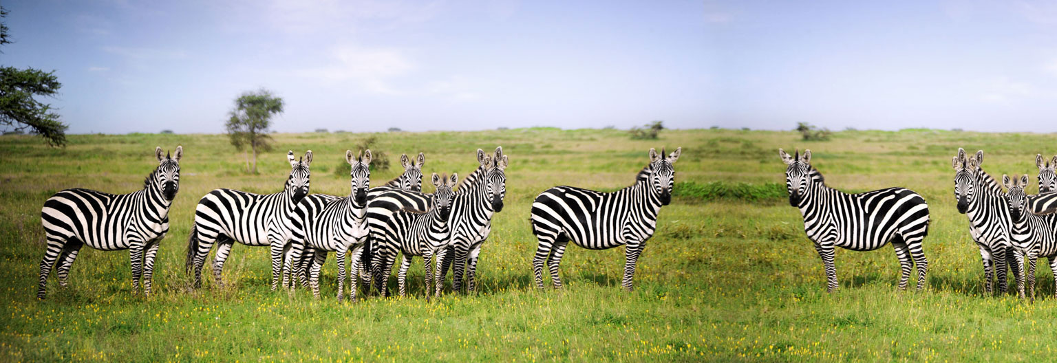 Katavi National Park