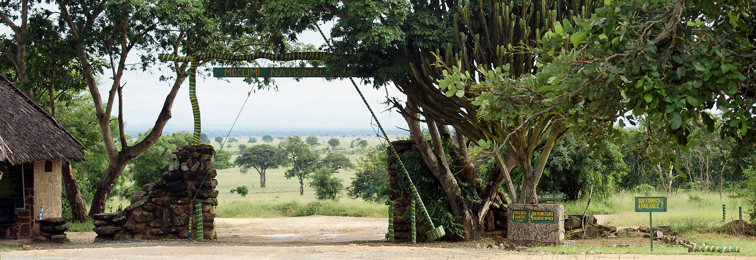 mikumi-national-park