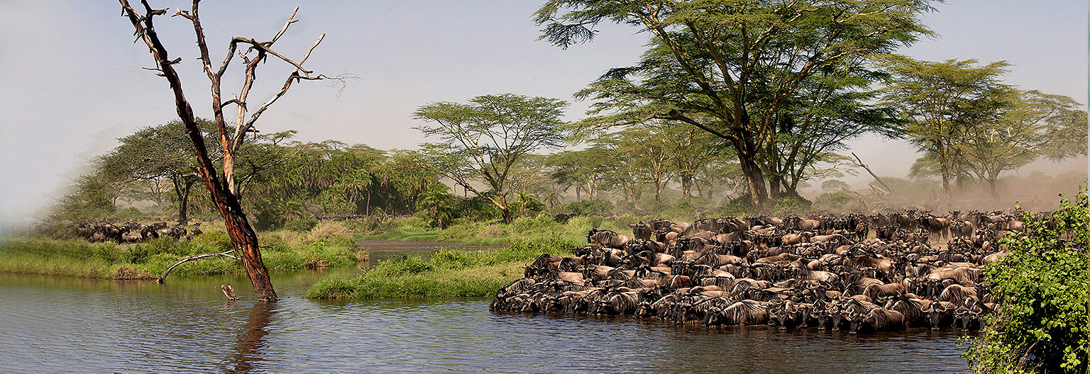 Serengeti National Park