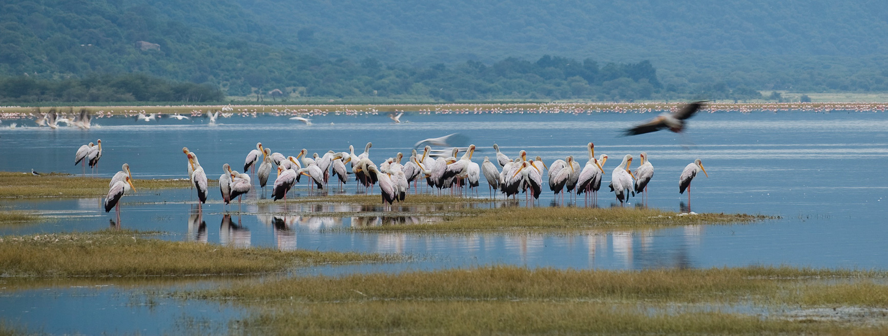 manyara-2-1920×1280