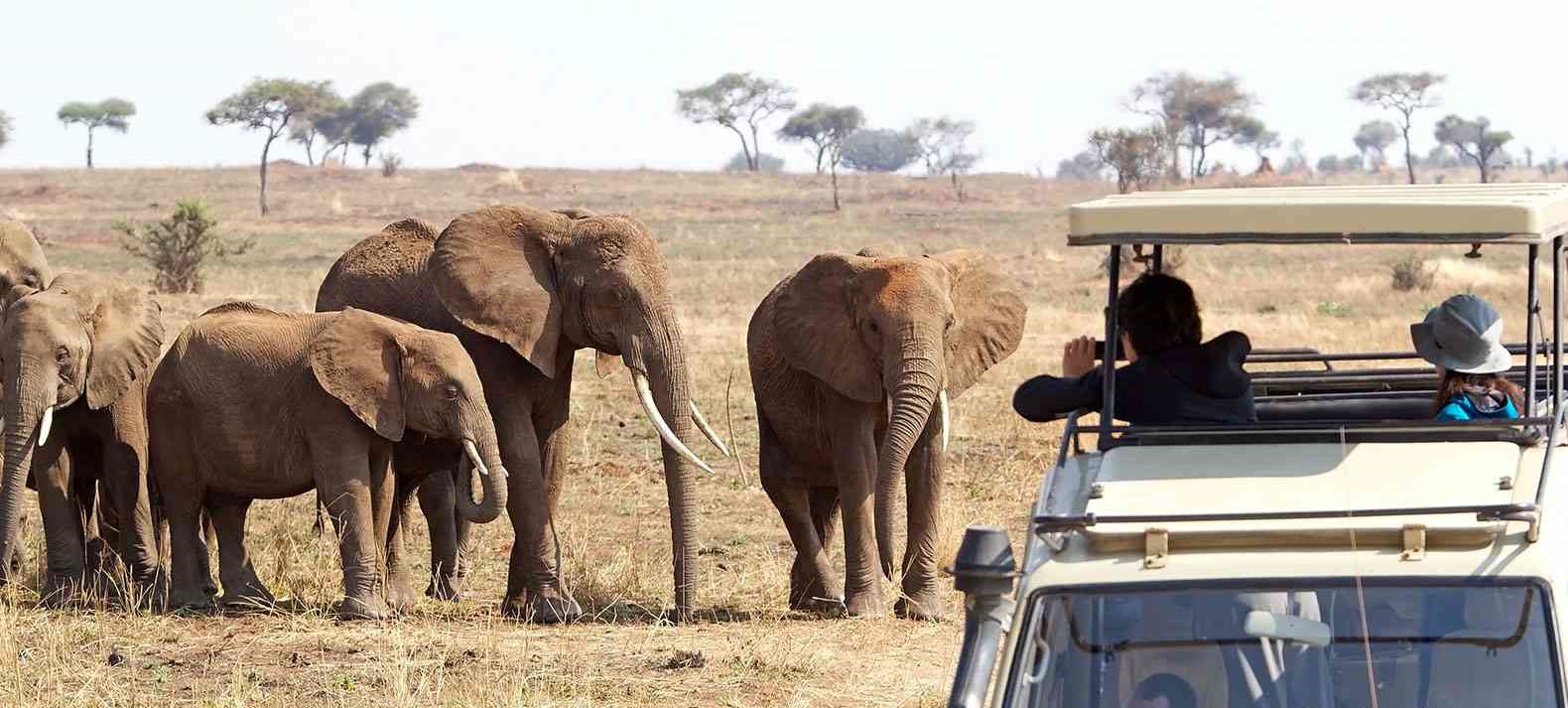 best-tanzania-family-safaris-and-tours