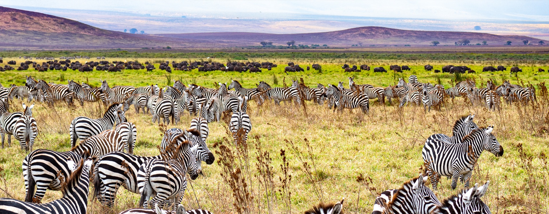 tanzania-national-park